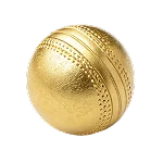 Cricket icon